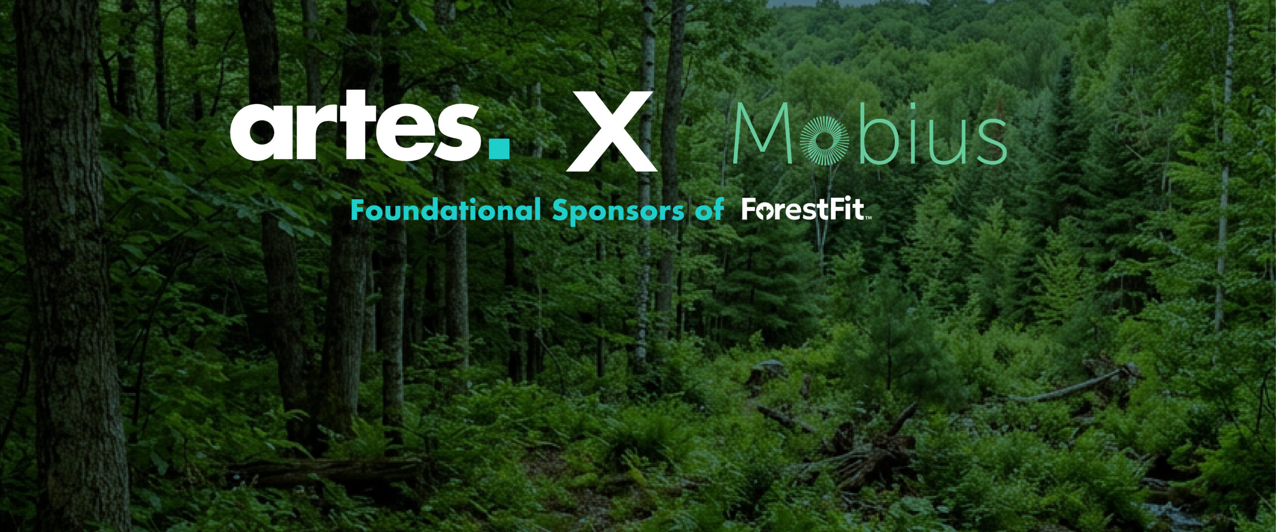 Artes and Mobius deepen commitment to Australia’s forestry sector through ForestFit sponsorship